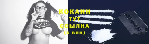 прущие грибы Снежинск